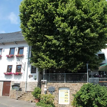 Landgasthof Zur Linde Im Taunus 3*