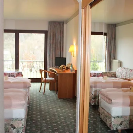 Landgasthof Zur Linde Im Taunus Gemünden