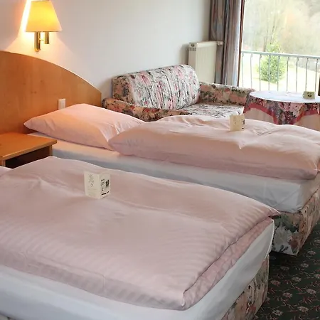 Landgasthof Zur Linde Im Taunus 3* Gemünden