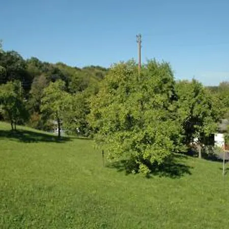 Landgasthof Zur Linde Im Taunus 3*